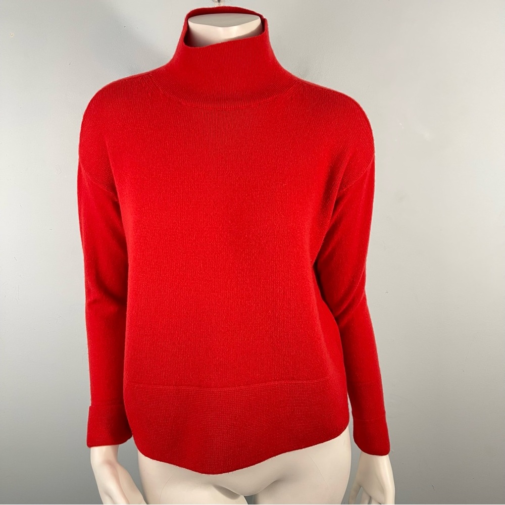 Everlane Red Turtleneck Sweater